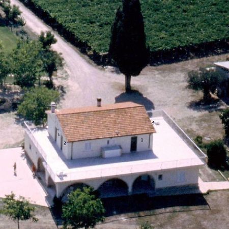 Agriturismo Torre Mannella - La Loggia Citta Sant'Angelo Exteriér fotografie
